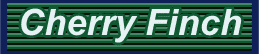 cherryheader.gif (2119 bytes)